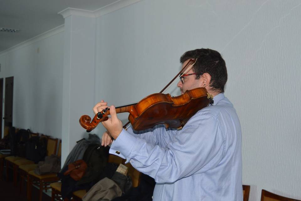 Viola solo