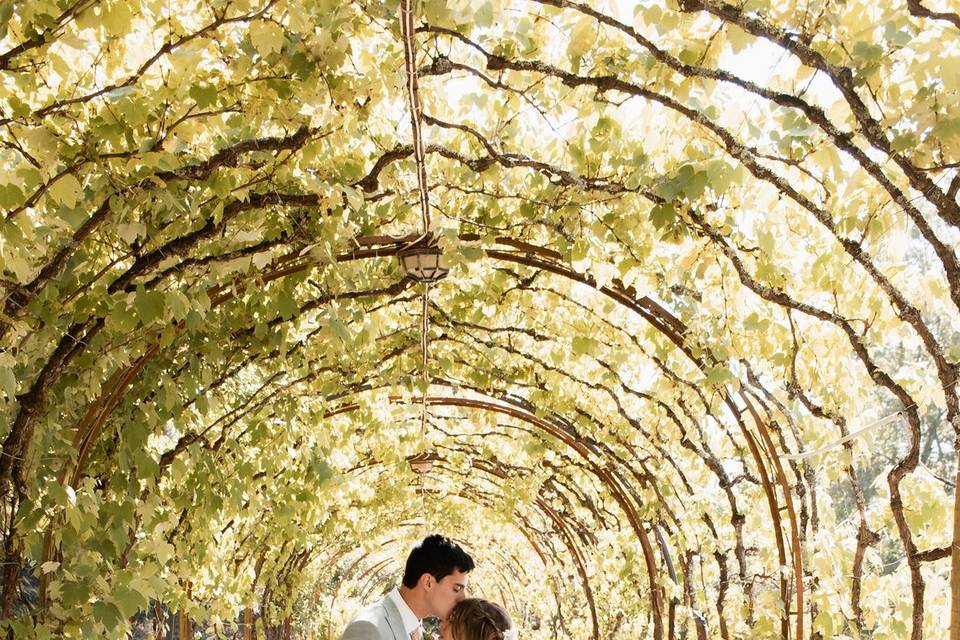 Casamento