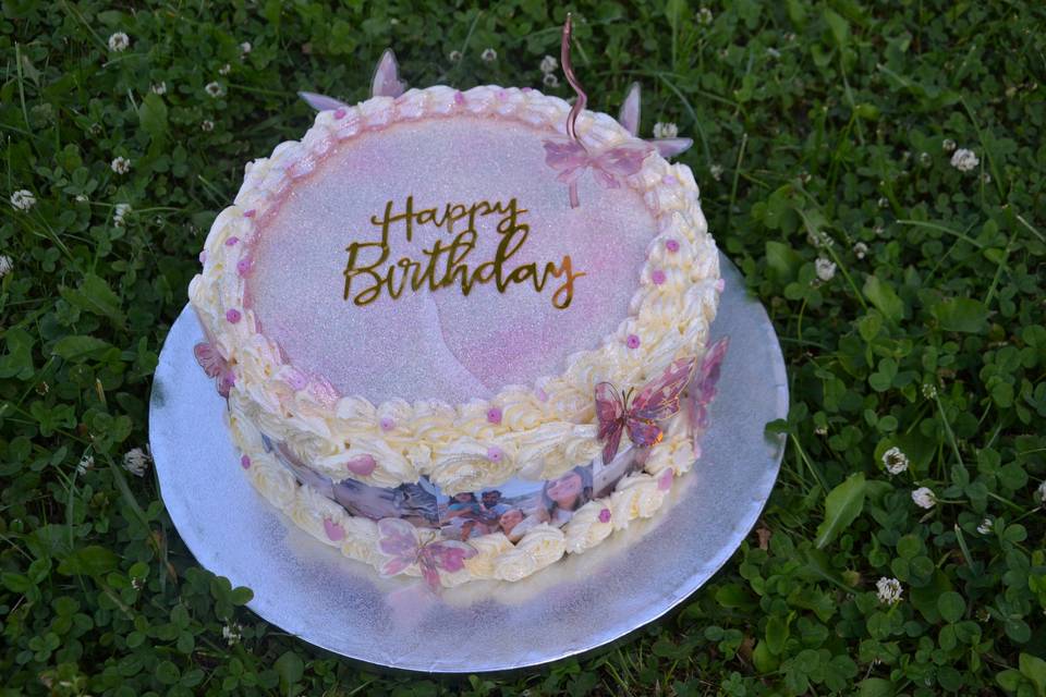 Aniversário borboletas