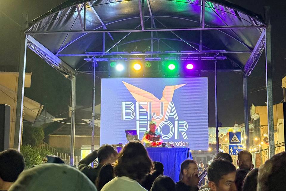 Festa do Seixo - Agosto 2026