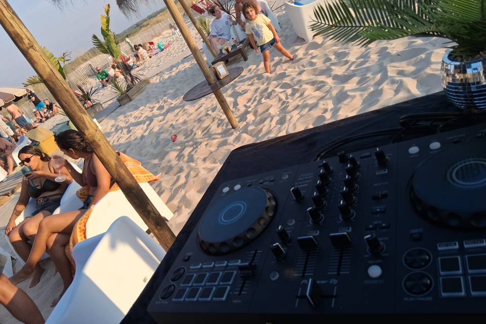 Sardine Beach Bar - 2026