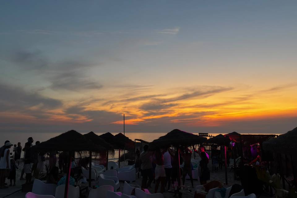 Sardine Beach Bar - 2026