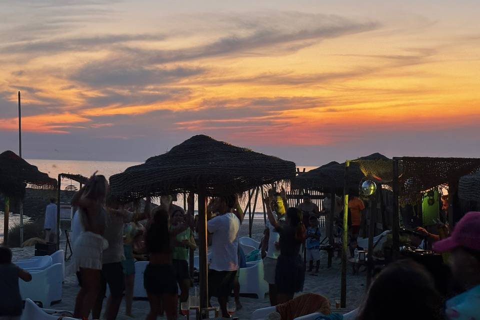 Sardine Beach Bar - 2026