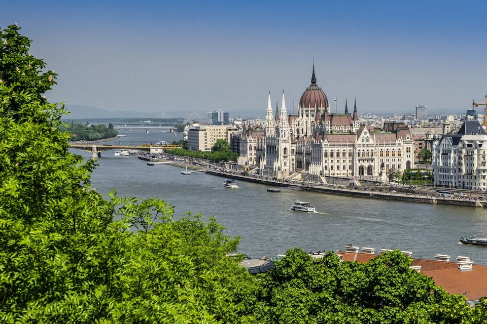 Viena