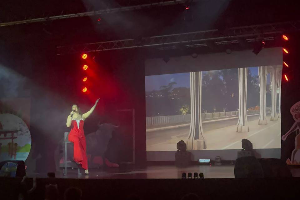 Cantora em espetáculo