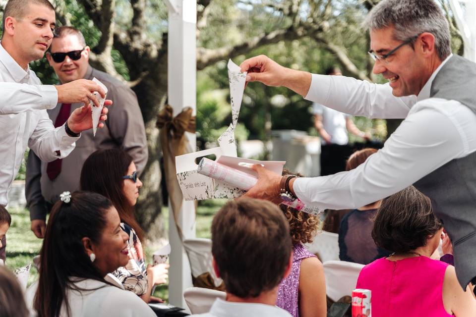 Animação do casamento