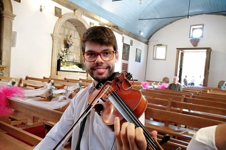 Violino 2019