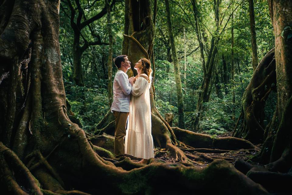 Natureza do amor