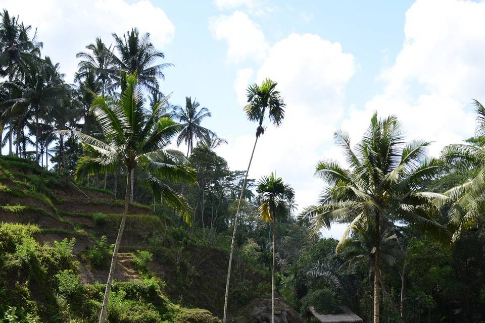 Bali