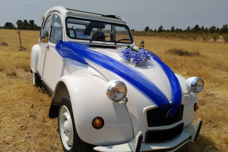 Citroen 2cv - amor perfeito