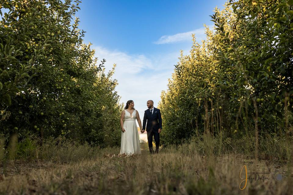 ESTÚDIO JORGE DELFIM-FOTOGRAFI
