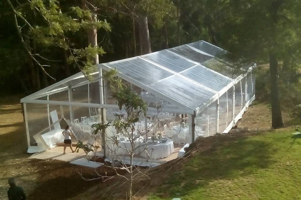 Tenda transparente 300 m2