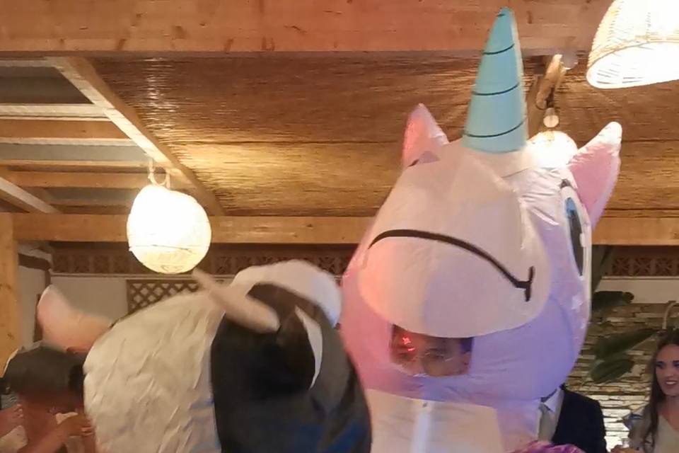 Unicorn