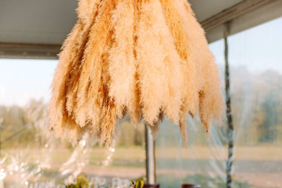 SOFIA MORGADO - FOTOGRAFIA