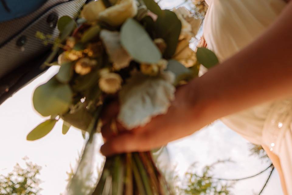 SOFIA MORGADO - FOTOGRAFIA