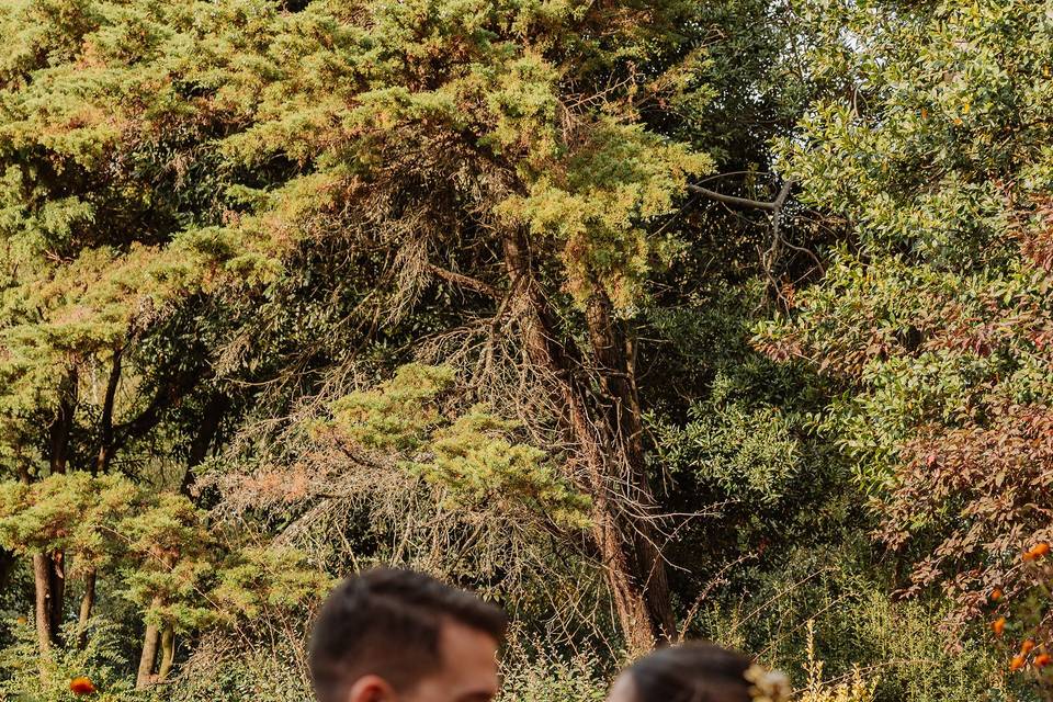 SOFIA MORGADO - FOTOGRAFIA