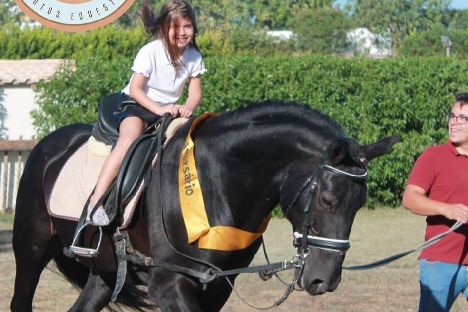 Daniel Lomba Eventos Equestres