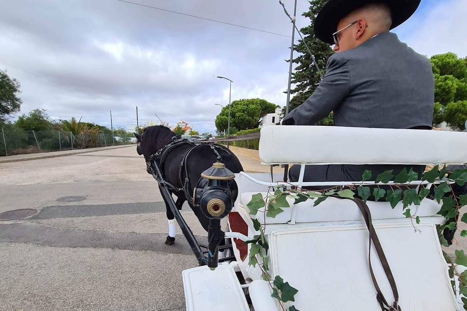 Daniel Lomba Eventos Equestres