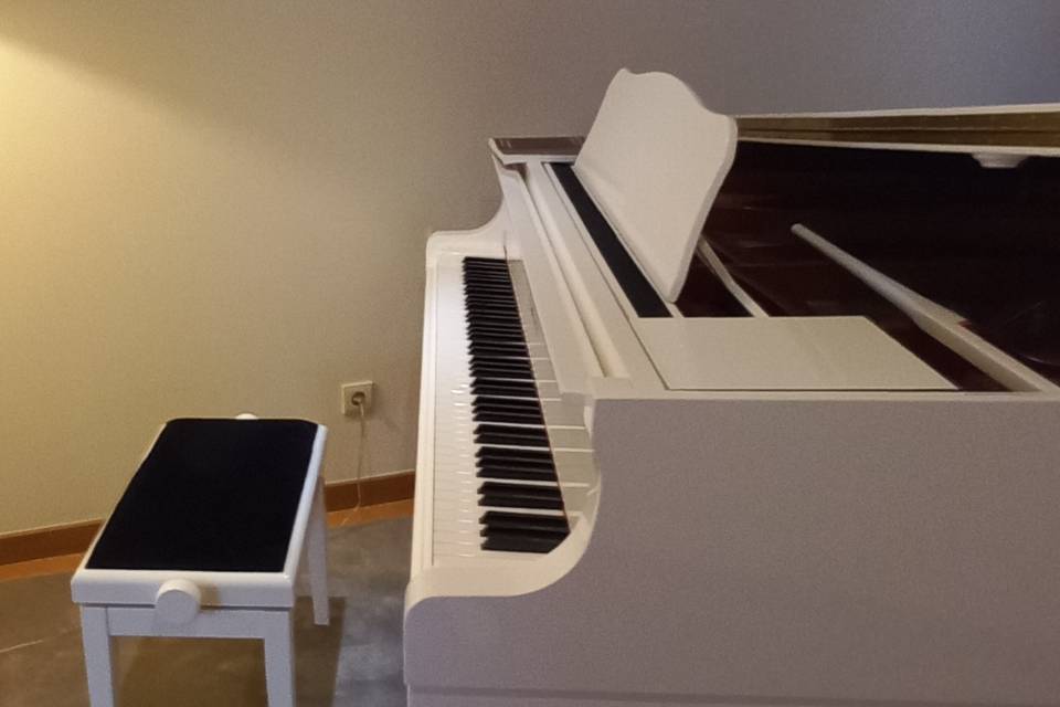 Anima Ensemble