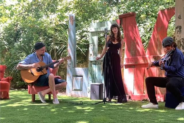 Trio: voz, violino, guitarra