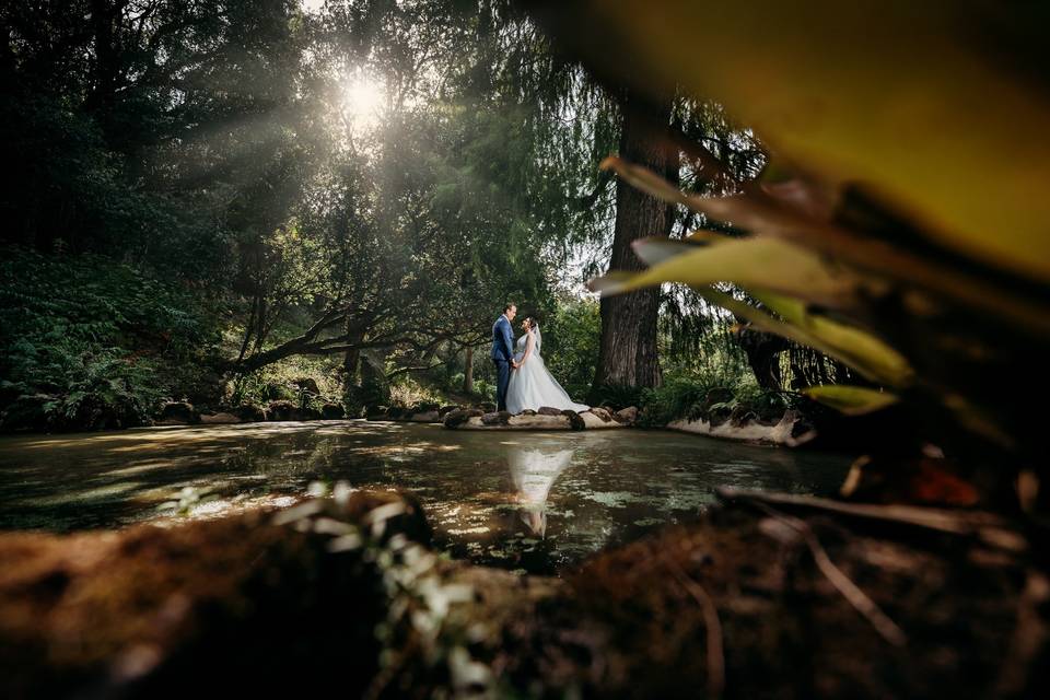 Trash The dress