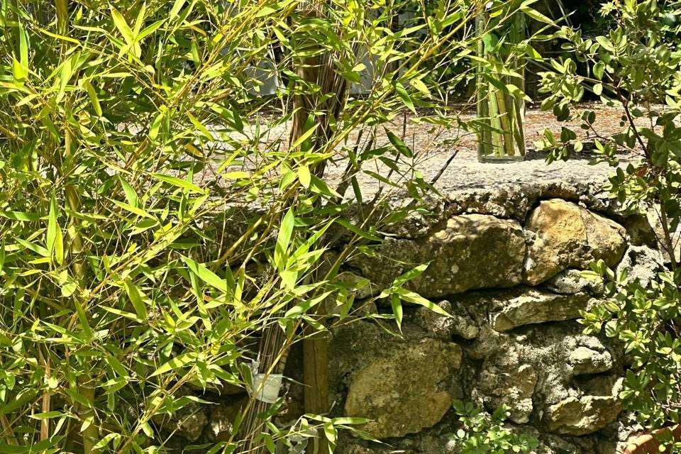 Jardim