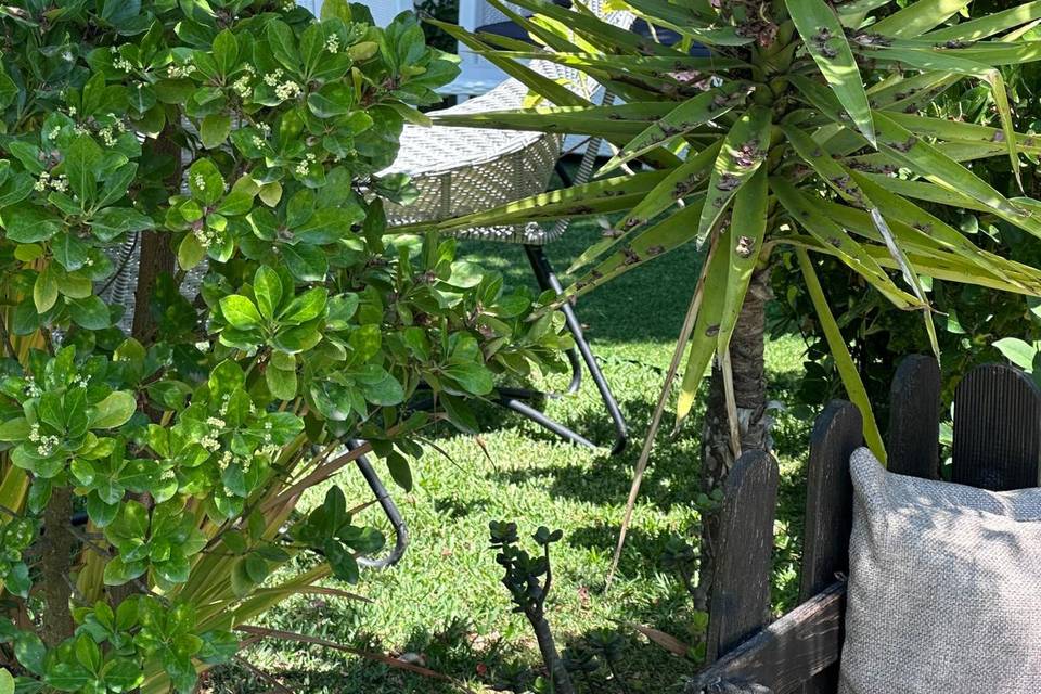Jardim
