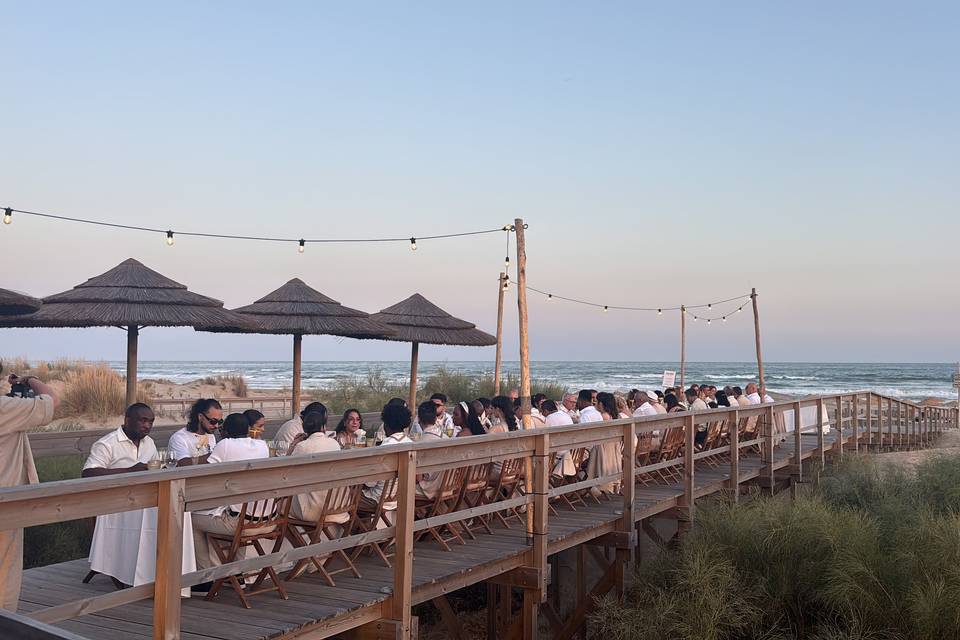 Sunset dinner