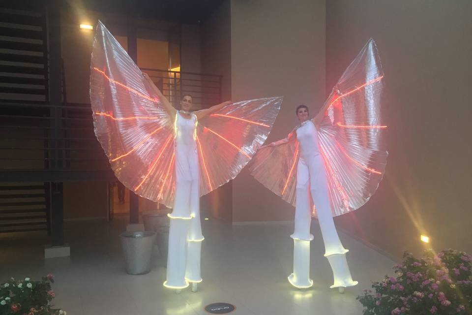 Hosts - Stilt Angels
