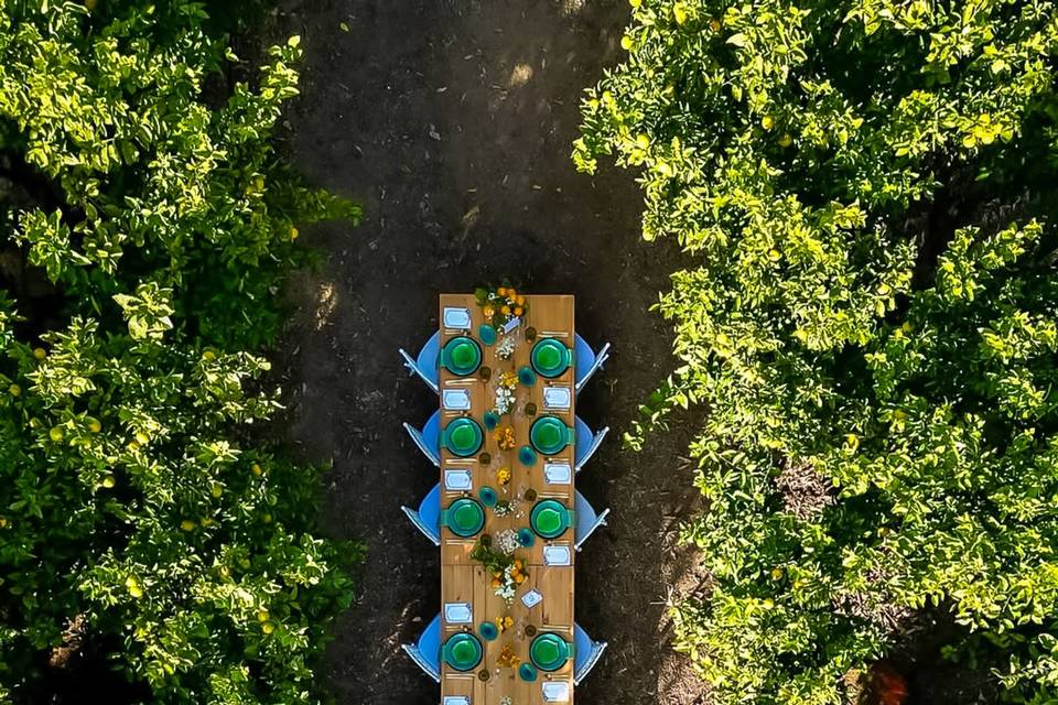 O laranjal encantado