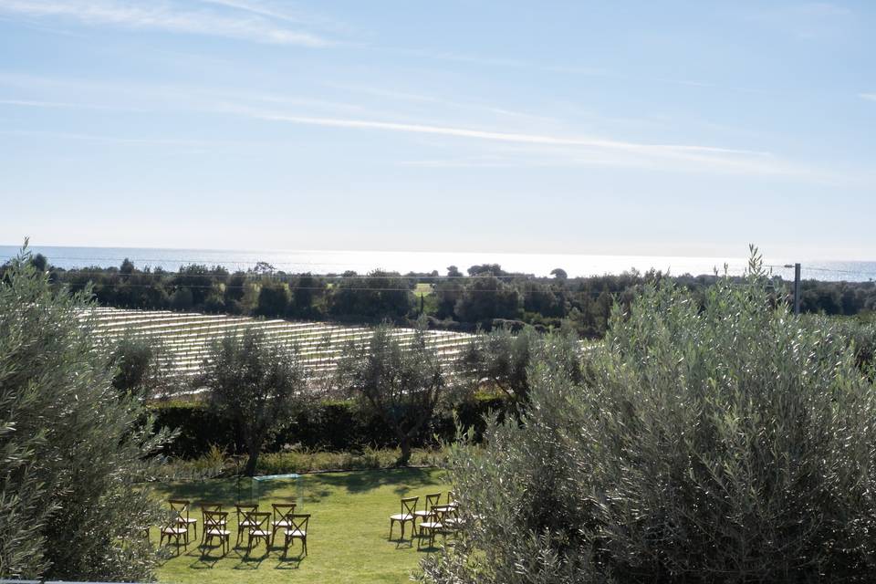 Jardim das oliveiras