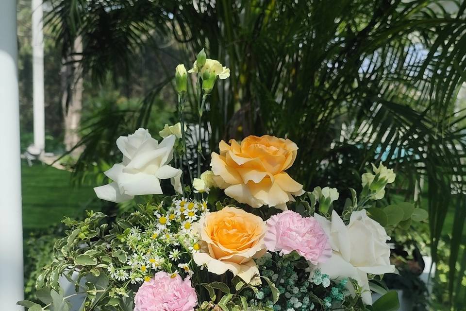 Flores