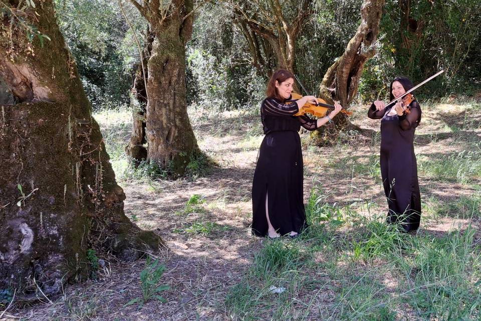 Violin&Viola Duet