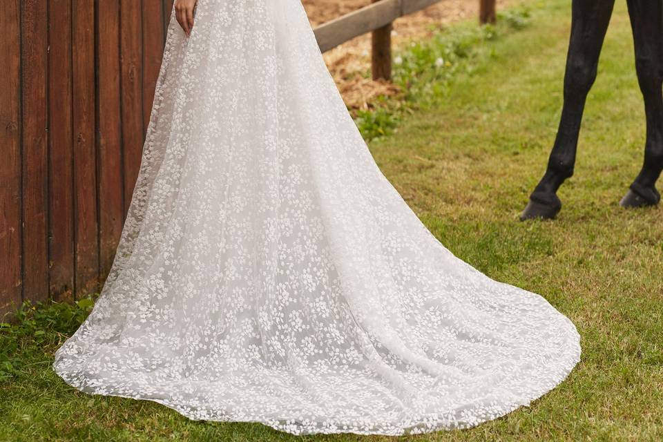 Alma Novia
