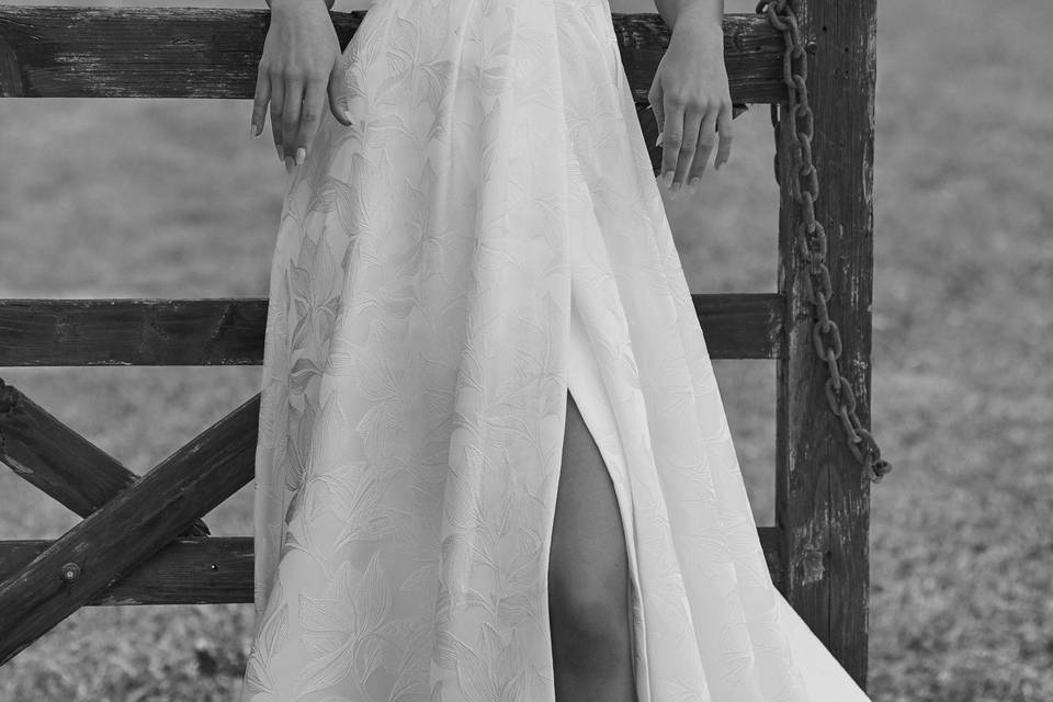 Alma Novia