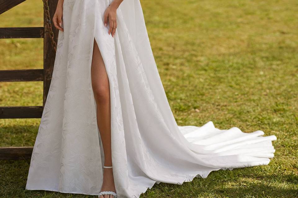 Alma Novia