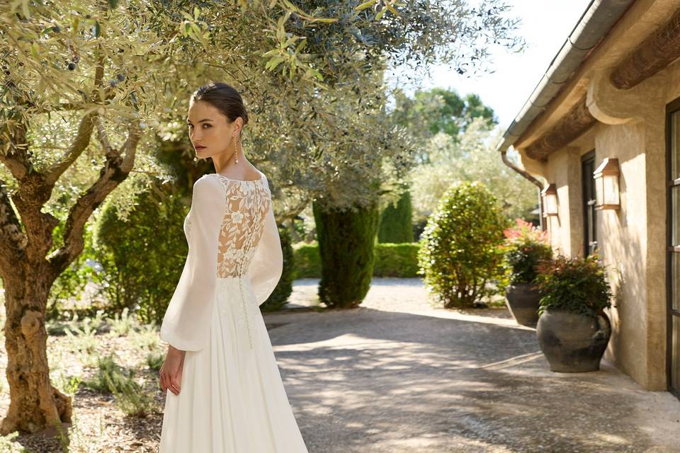 Alma Novia