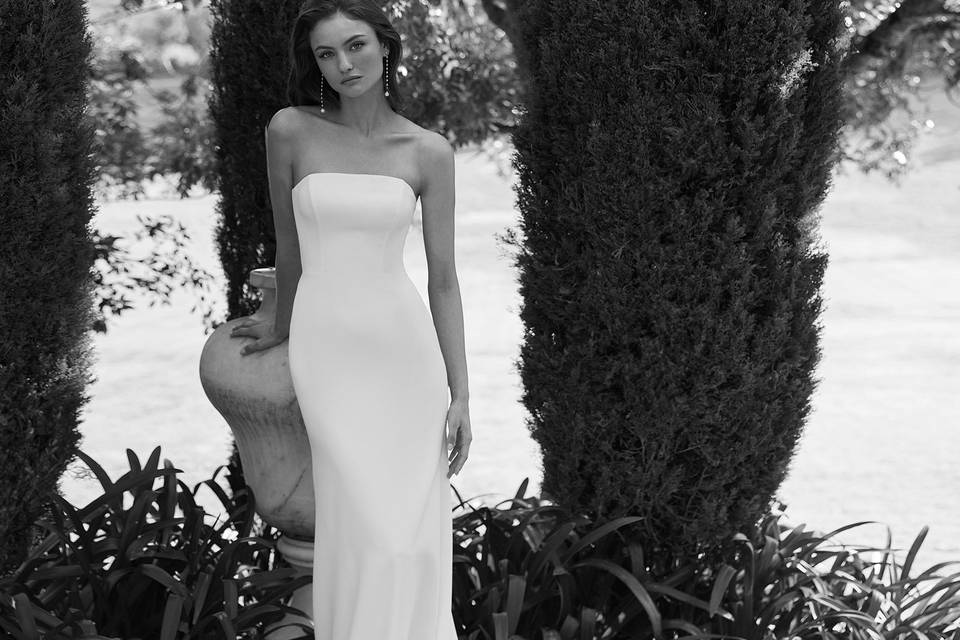 Alma Novia