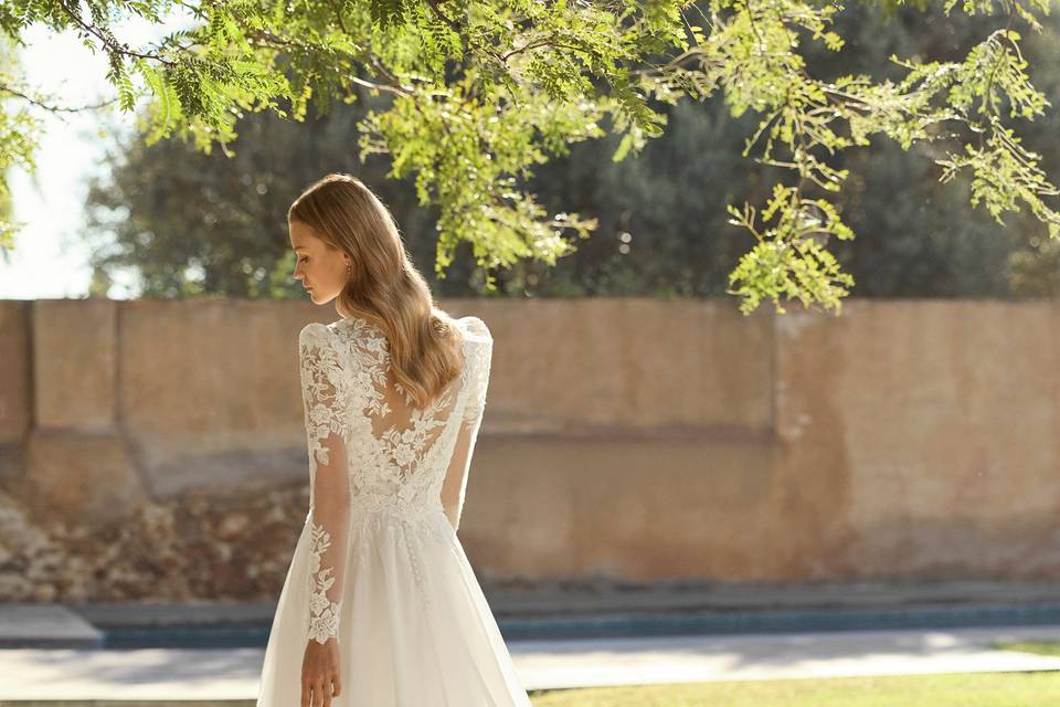 Alma Novia