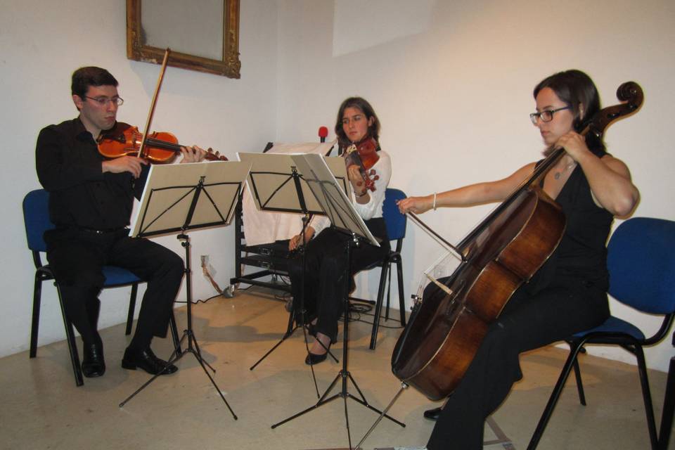 Concerto - Trio