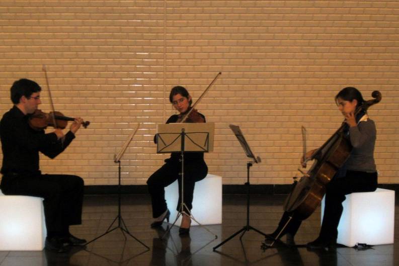 Concerto - Trio