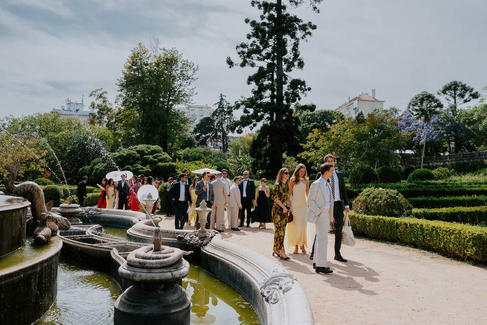 Guest Arriving