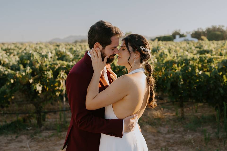 Vineyard