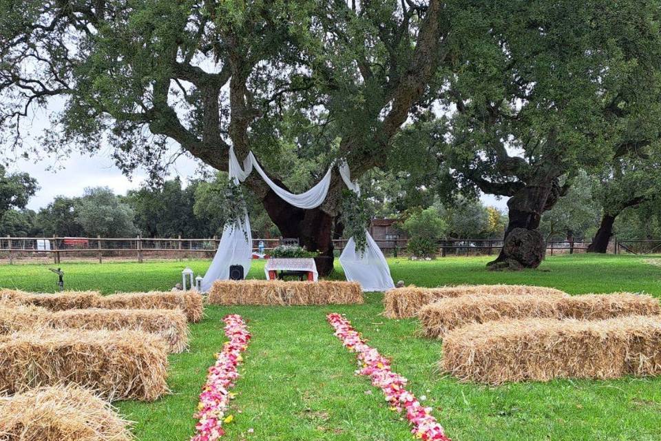 Casamento civil na Quinta - ca