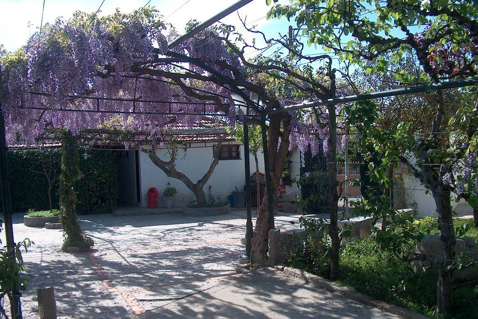 Quinta Jusã