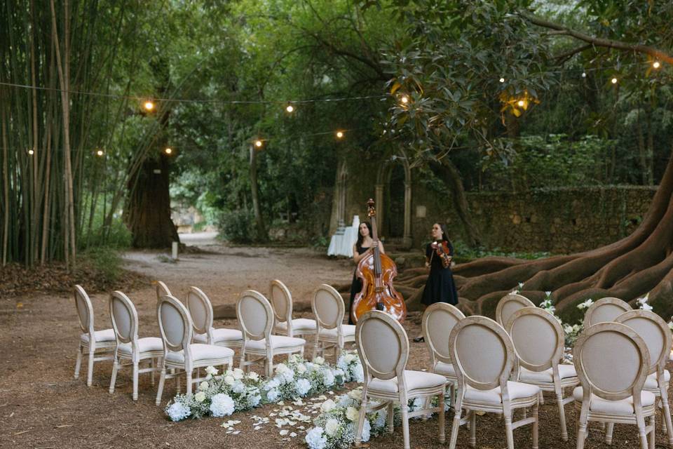 Cacau Events