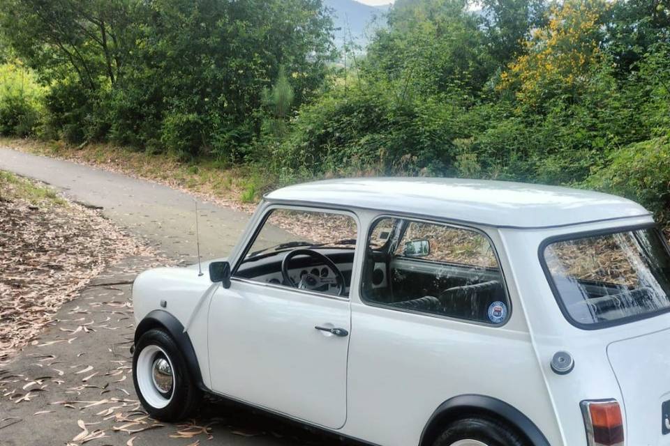 Austin mini 1981