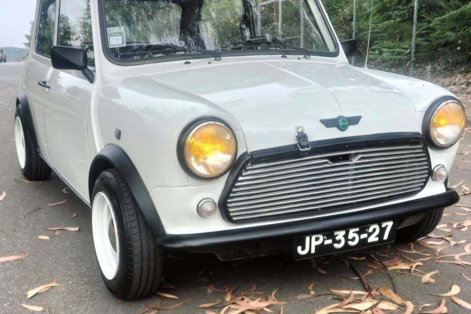 Austin mini 1981