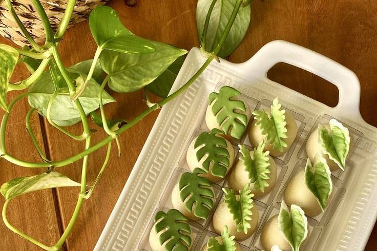 Folhas para encantar