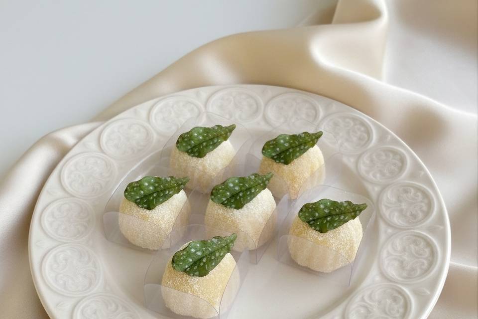 Folha de Begonia Maculata